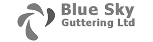 Blue Sky Website & Development