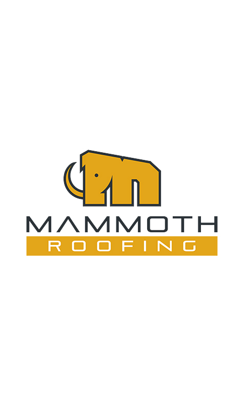 Logo Redesign, Shopify Webdevelopment & SEO